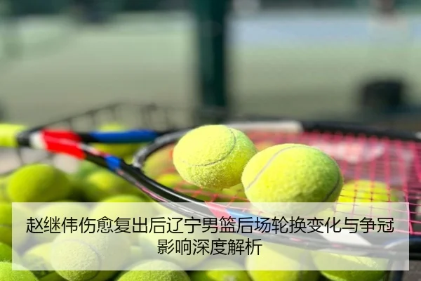 赵继伟伤愈复出后辽宁男篮后场轮换变化与争冠影响深度解析